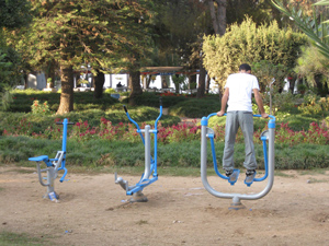 تولید وسایل ورزشی پارکی در کرج